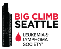 Big Climb 2013